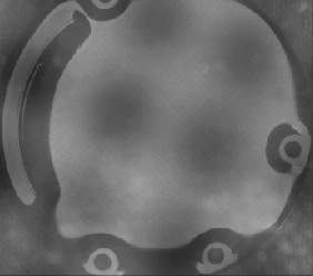 Earlier flat dome: patchy reflection competes with surface detail.