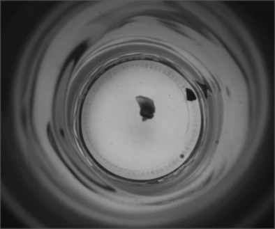 Source backlit bottle-bottom capture: two dark regions are visible within the brighter base.