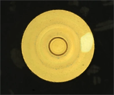 Source white flat-coaxial capture: a lighter surface region is visible on the right of the yellow circular face.