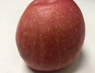 The part: an apple that looks undamaged in colour.