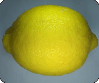 Source white-light lemon capture; its exposure and white balance are not supplied.