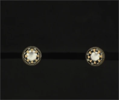 Source white-dome capture: two reflective near-circular terminal end faces are visible against a darker background.