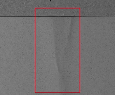 Oblique line-light capture of the same label application; the crease region stands out more strongly.