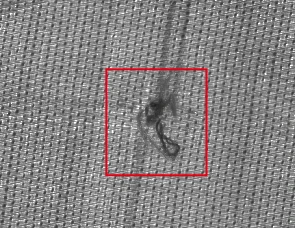 The source camera capture shows the weave and a local raised or loose-fibre feature inside the original red annotation.