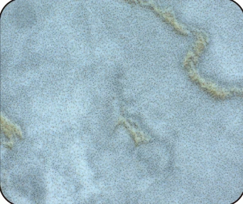 Textured material under the source white-light condition.