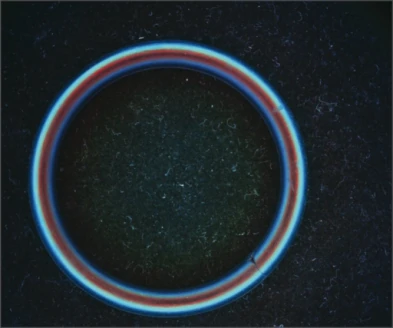 Source RGB seal capture: the circular rim returns coloured bands around its curved edge.