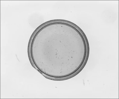 Independent source blue-backlight example: spots and the circular component boundary are visible.