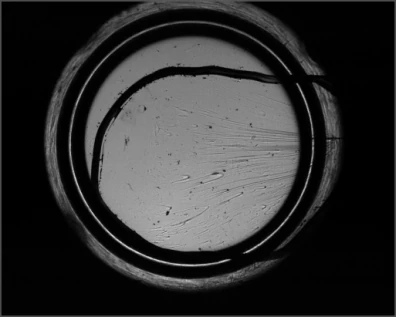 Source coaxial example: surface marks appear inside a circular optical component.