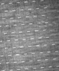 Source850 nm capture: repeated conductor detail dominates the image.