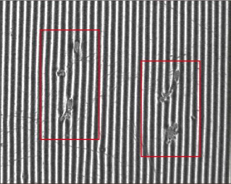 White LS-2LFM100: sharper reflected stripes and clearer local disturbances; red boxes are the original test annotations.
