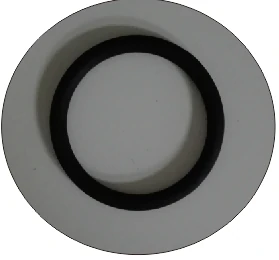 Gasket shown in the application sheet.
