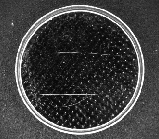 High-power white-strobe capture from the source comparison; surface marks are clearer.