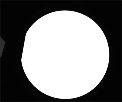 Source flat-coaxial image: a bright circular outline with a left-side flat segment stands out from the dark background.
