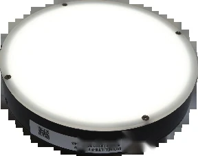 100 mm Customized lights (LS-FT100-W)