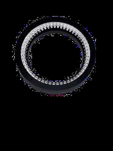Ring light, 10 degree series (LS-R10010)